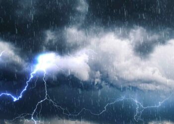 Maltempo a Napoli: albero cade in Via Bernini, tragedia sfiorata al Vomero