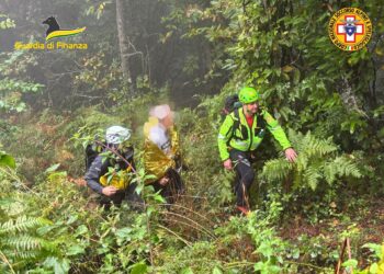 Cercatore di funghi disperso tra Irpinia e Salernitano ritrovato dopo ore di ricerche