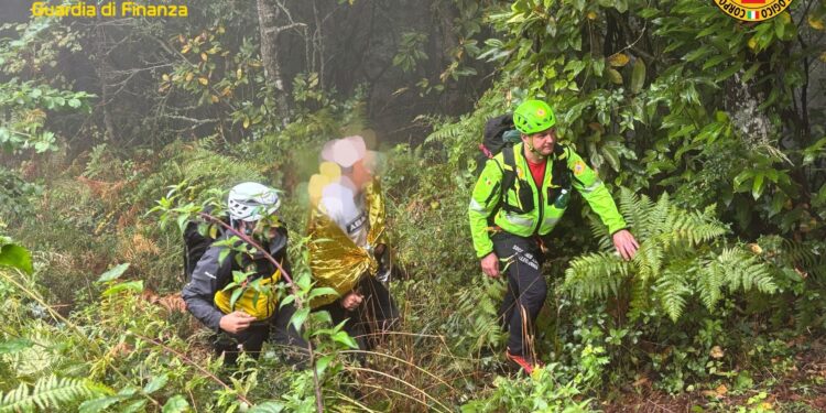 Cercatore di funghi disperso tra Irpinia e Salernitano ritrovato dopo ore di ricerche