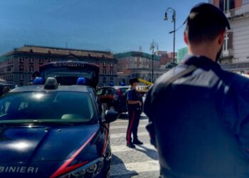 NAPOLI: targhe estere, la stretta dei Carabinieri. Centinaia di sanzioni per veicoli e polizze assicurative non conformi