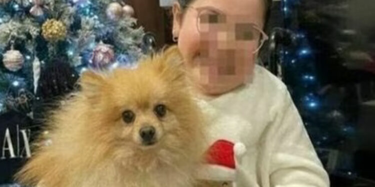 Ritrovato Maui, lo Spitz rubato ad Acerra: “Siamo ladri, ma onesti”