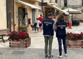 SALERNO, AVELLINO E BENEVENTO. CAMPAGNA ESTATE TRANQUILLA. IL NAS DI SALERNO SEQUESTRA DIECI TONNELLATE DI ALIMENTI.
