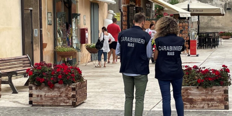 SALERNO, AVELLINO E BENEVENTO. CAMPAGNA ESTATE TRANQUILLA. IL NAS DI SALERNO SEQUESTRA DIECI TONNELLATE DI ALIMENTI.