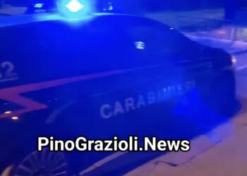 Pino Grazioli e Cosimo di Livello Alto: San Nicola la Strada ritrova la serenità grazie all’impegno del giornalista