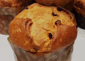 Mastro Panettone 2024: La Campania brilla con i suoi maestri pasticceri