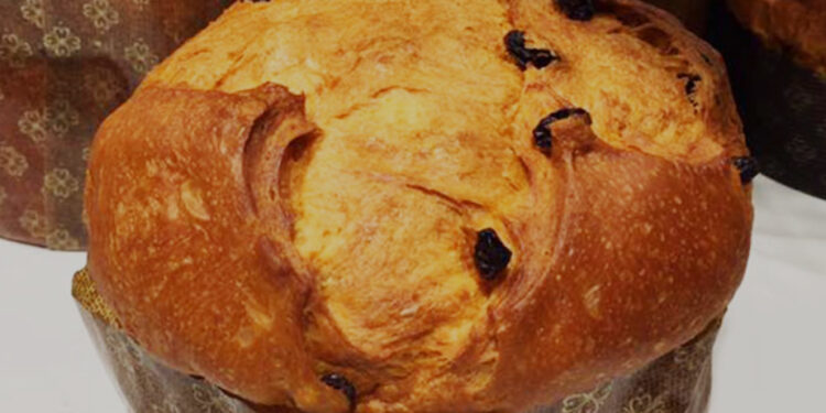 Mastro Panettone 2024: La Campania brilla con i suoi maestri pasticceri