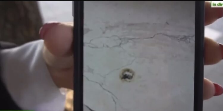 Sant’Antimo: scuola invasa da topi, genitori protestano per condizioni igieniche precarie