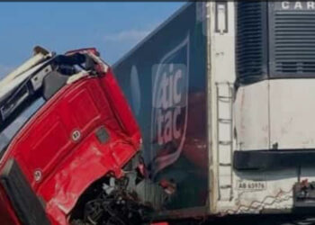 Grave Incidente sull’A1: Muore Autista di Avellino, feriti  9 turisti Coreani