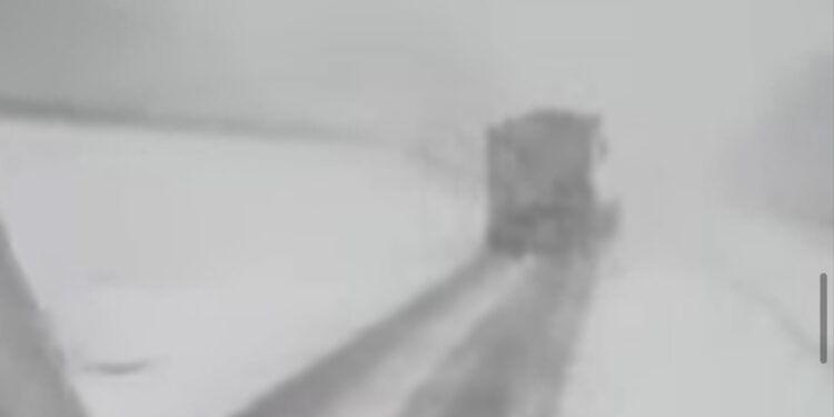 Freddo, neve e vento per l’Immacolata: cosa dicono le previsioni