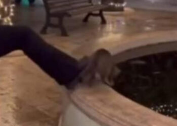 Alberobello, 15enne a processo per maltrattamenti al gatto Grey