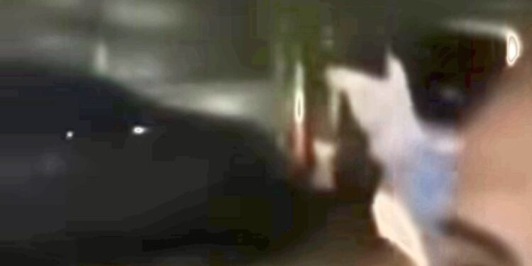 Video shock: Uomo armato esplode un colpo in aria  in presenza di bambini che piangono in casa