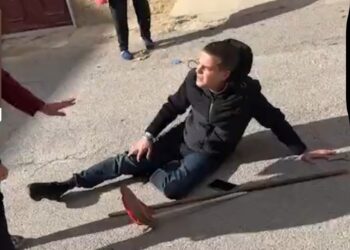 Enrico Rizzi aggredito a Palermo mentre indaga su maltrattamenti di animali