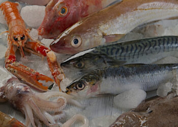 Sequestrati 1.500 kg di prodotti ittici in una pescheria del centro di Napoli: sanzioni per 150.000 euro in Campania