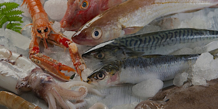 Sequestrati 1.500 kg di prodotti ittici in una pescheria del centro di Napoli: sanzioni per 150.000 euro in Campania