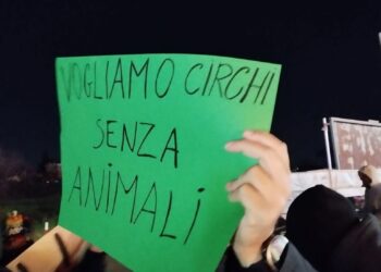 Manifestazione contro l’uso degli animali nei circhi a Licola: tensioni davanti a un circo al centro di accuse di violenza