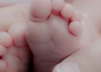 Fertilo, nato il primo bambino con la nuova tecnica di fecondazione assistita