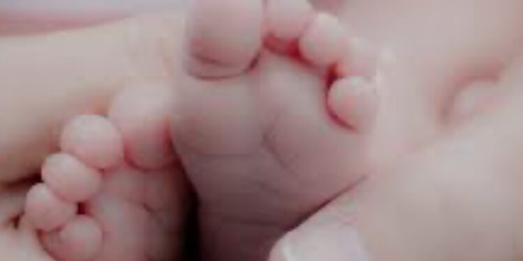 Fertilo, nato il primo bambino con la nuova tecnica di fecondazione assistita