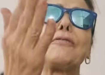 TikTok, attacchi a Borrelli, e Grazioli: denunce contro una donna per diffamazione