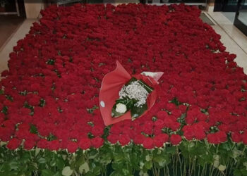 Mesagne, mistero e romanticismo: 2025 rose rosse per un amore segreto
