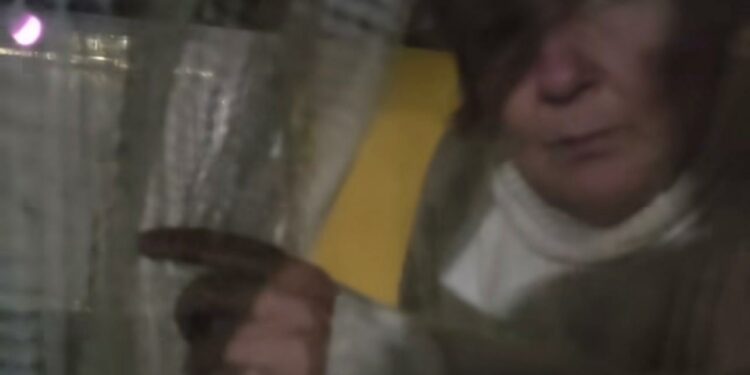 Le notturne chiacchierate di Vanda: quando il sonno di Pino diventa un sogno lontano