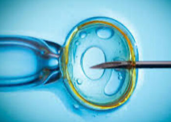 Scambio di Embrioni: Partorisce un bambino non suo e lo restituisce ai genitori biologici