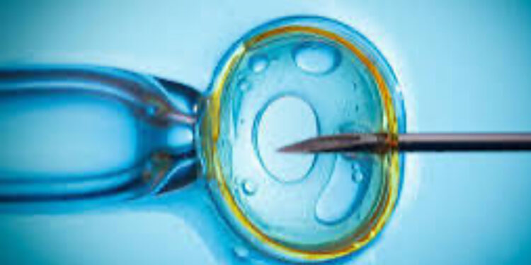 Scambio di Embrioni: Partorisce un bambino non suo e lo restituisce ai genitori biologici