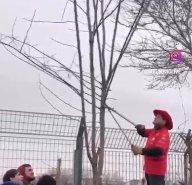 Taglia gli alberi per vedere meglio il circuito di Monza: denunciato un tifoso della Ferrari
