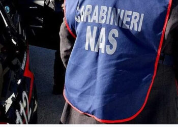 Maxi-operazione dei Carabinieri: 300 militari in azione per truffa aggravata al Sistema Sanitario