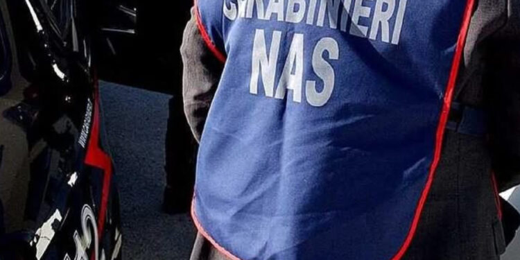 Maxi-operazione dei Carabinieri: 300 militari in azione per truffa aggravata al Sistema Sanitario