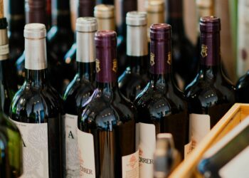 I Vini Vulcanici del Vesuvio: Un Viaggio nel Cuore della Campania