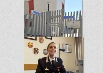 Arrestato Luigi Giuliano: l’Importante operazione dei Carabinieri e il ruolo fondamentale degli avvocati