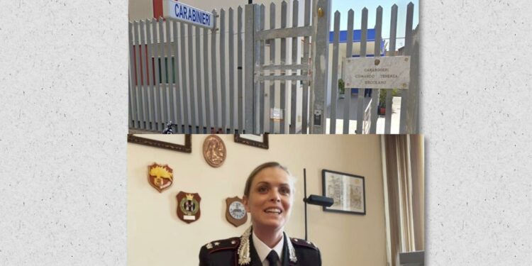 Arrestato Luigi Giuliano: l’Importante operazione dei Carabinieri e il ruolo fondamentale degli avvocati