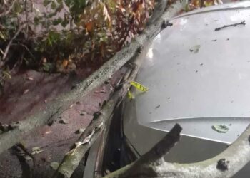 Paura al Vomero: crolla un albero in piazza Quattro Giornate, schiacciata un’auto