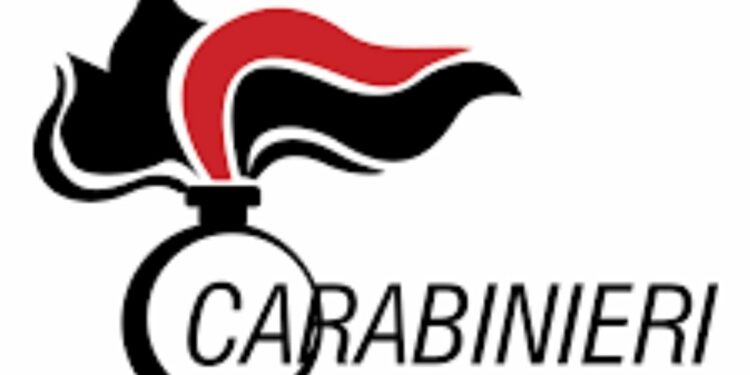 Il giornalista Pino Grazioli fa intervenire i carabinieri di Ercolano -Torre del Greco. Un ringraziamento a loro che hanno portato madre e figlio in una struttura protetta.