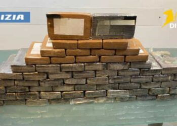 Scampia: Maxi sequestro di cocaina della Polizia di Stato e Guardia di Finanza.