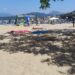 Palinuro: mare gratuito anche a settembre per i disabili.