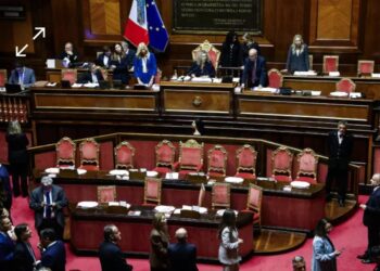 Terra dei Fuochi: ok Senato, Nasce Dipartimento Sud.