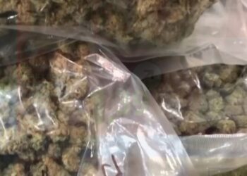 Napoli: arrestati cinque narcos, droga dalla Spagna a Napoli.