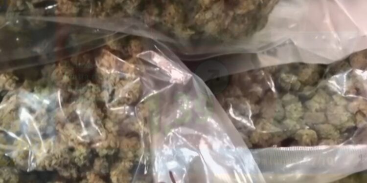 Napoli: arrestati cinque narcos, droga dalla Spagna a Napoli.