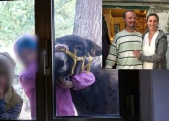 Chieti: i bambini che vivevano nel bosco con i genitori, sono stati portati via dagli assistenti sociali.