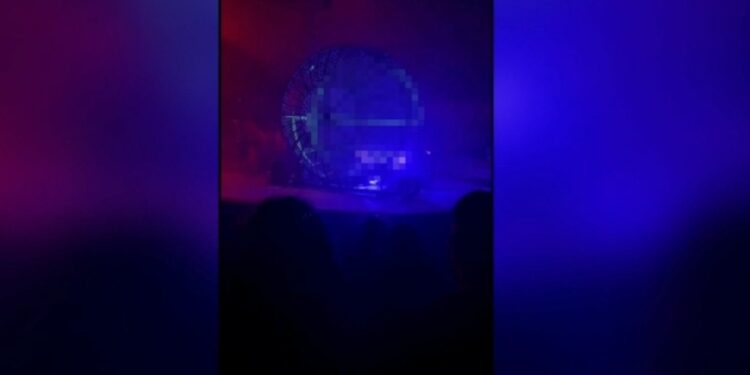 Tragedia al circo: muore uno stuntman durante lo spettacolo.