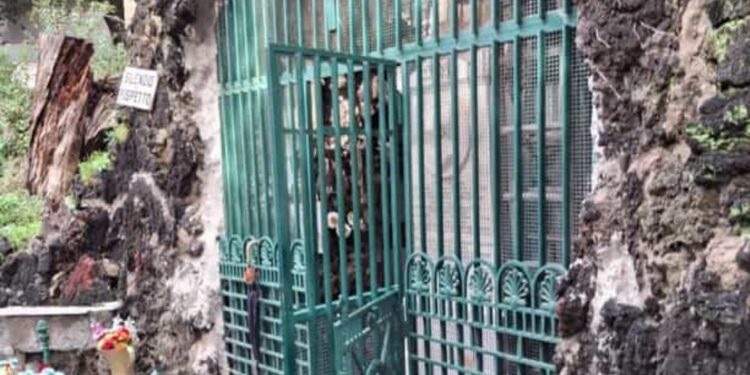 Cimitero monumentale di Poggioreale, Napoli: sempre più degrado.