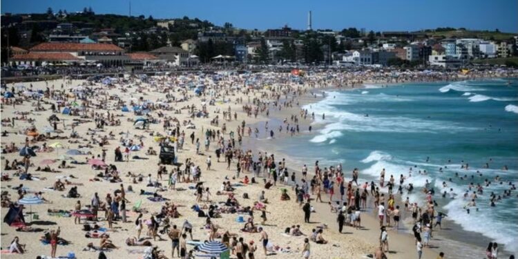 Sidney, Australia: spari durante le celebrazioni per Hanukkah.