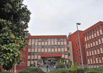 Salerno: bimbo di 13 mesi azzannato dal pitbull di casa, non è in pericolo di vita.