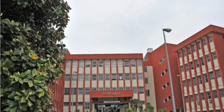 Salerno: bimbo di 13 mesi azzannato dal pitbull di casa, non è in pericolo di vita.