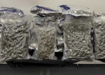 Napoli: droga proveniente dalla Spagna in un distributore di bevande.