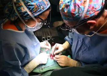 Napoli: bambino trapiantato ha bisogno di un nuovo cuore.