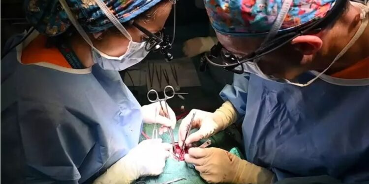 Napoli: bambino trapiantato ha bisogno di un nuovo cuore.