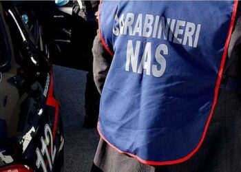 Napoli: topo morto nella pentola alla mensa della scuola elementare.