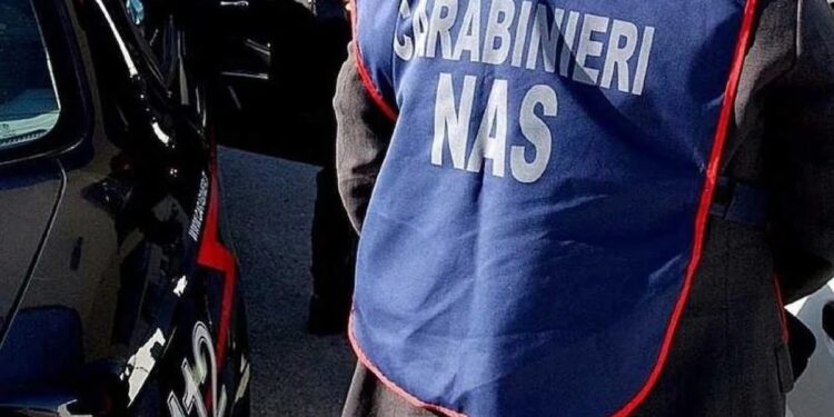 Napoli: topo morto nella pentola alla mensa della scuola elementare.
